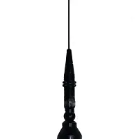 Автомобильная антенна President Iowa Export врезного типа