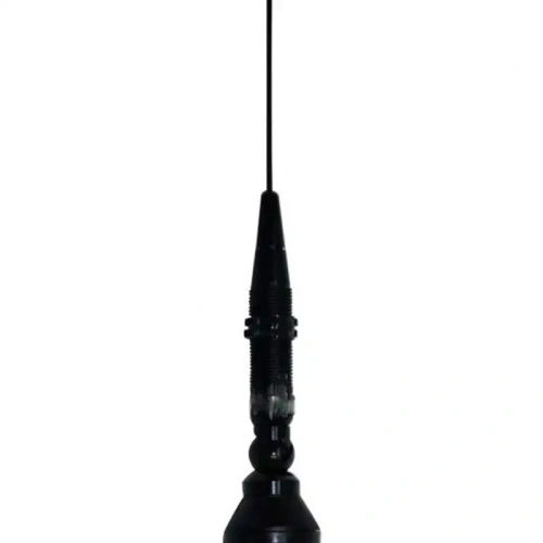 Автомобильная антенна President Iowa Export врезного типа