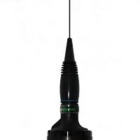 Автомобильная антенна President Montana Export